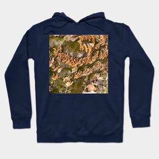 Bracket fungus Hoodie